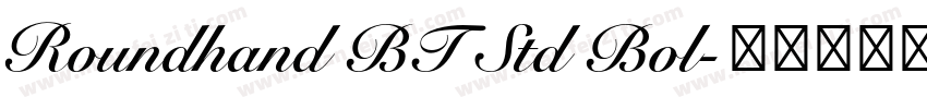 Roundhand BT Std Bol字体转换